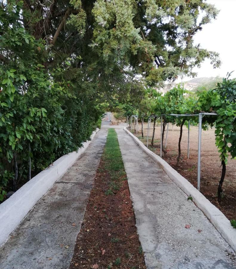 Dreamhome -10Min From Airport- Artemida  Ngoại thất bức ảnh