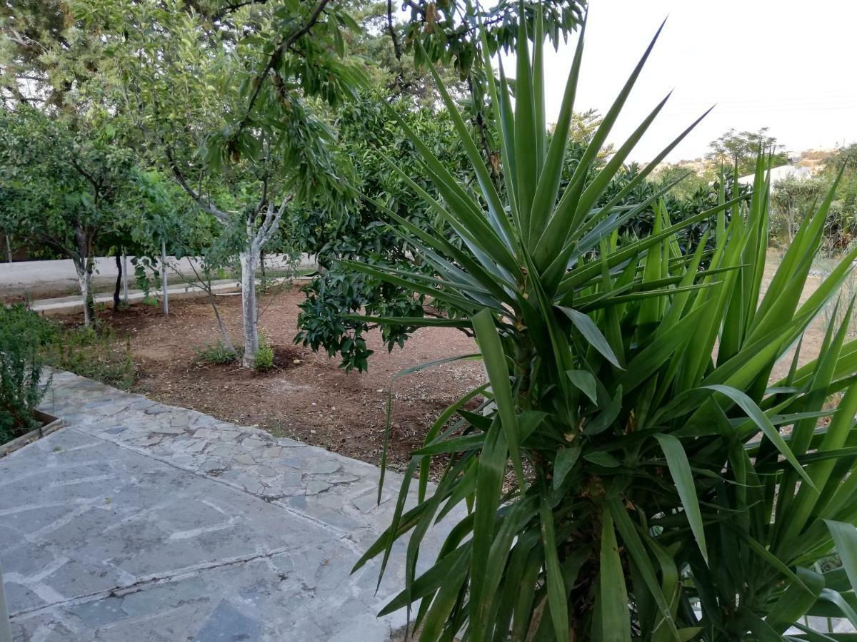 Dreamhome -10Min From Airport- Artemida  Ngoại thất bức ảnh